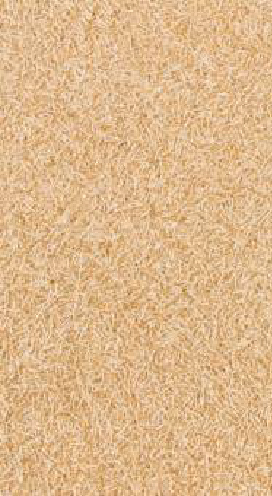 Жидкие обои