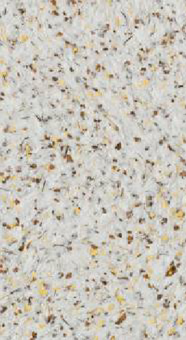 Жидкие обои